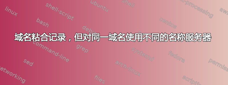 域名粘合记录，但对同一域名使用不同的名称服务器