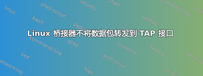 Linux 桥接器不将数据包转发到 TAP 接口