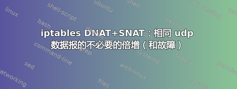 iptables DNAT+SNAT：相同 udp 数据报的不必要的倍增（和故障）