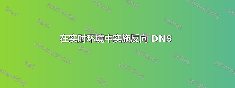 在实时环境中实施反向 DNS