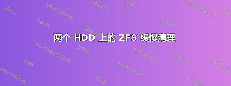 两个 HDD 上的 ZFS 缓慢清理