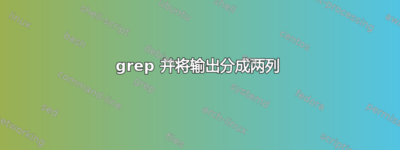 grep 并将输出分成两列