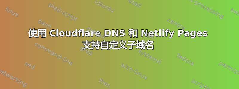 使用 Cloudflare DNS 和 Netlify Pages 支持自定义子域名