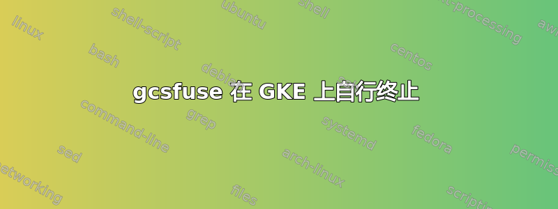 gcsfuse 在 GKE 上自行终止