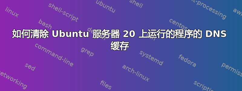 如何清除 Ubuntu 服务器 20 上运行的程序的 DNS 缓存