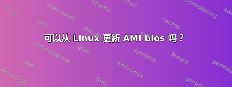 可以从 Linux 更新 AMI bios 吗？