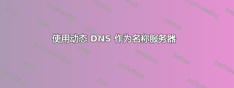 使用动态 DNS 作为名称服务器 