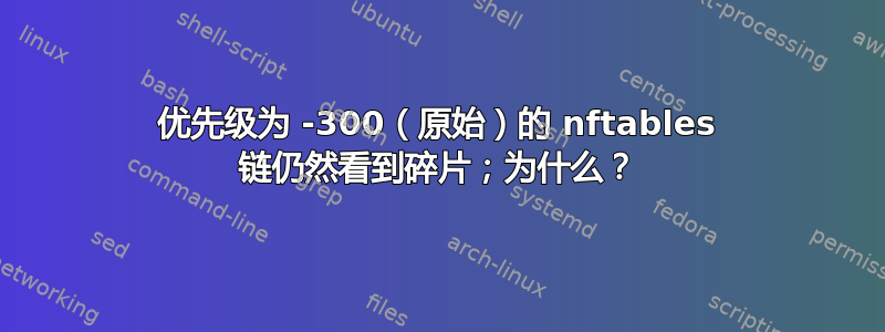 优先级为 -300（原始）的 nftables 链仍然看到碎片；为什么？