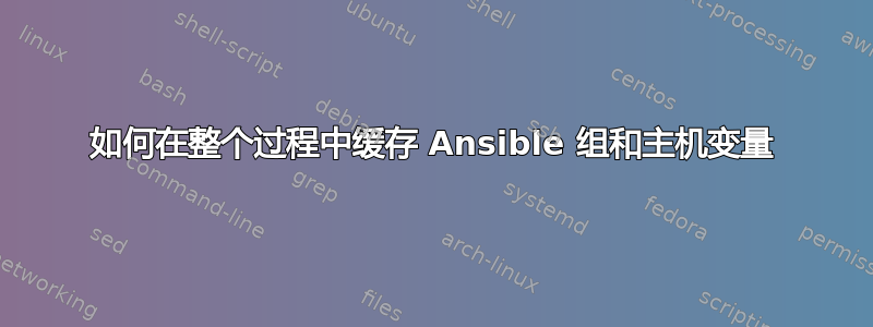 如何在整个过程中缓存 Ansible 组和主机变量