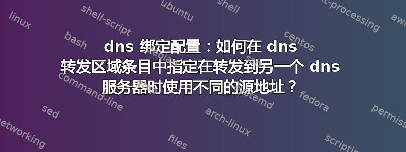 dns 绑定配置：如何在 dns 转发区域条目中指定在转发到另一个 dns 服务器时使用不同的源地址？