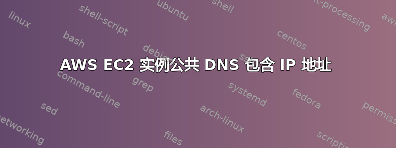 AWS EC2 实例公共 DNS 包含 IP 地址