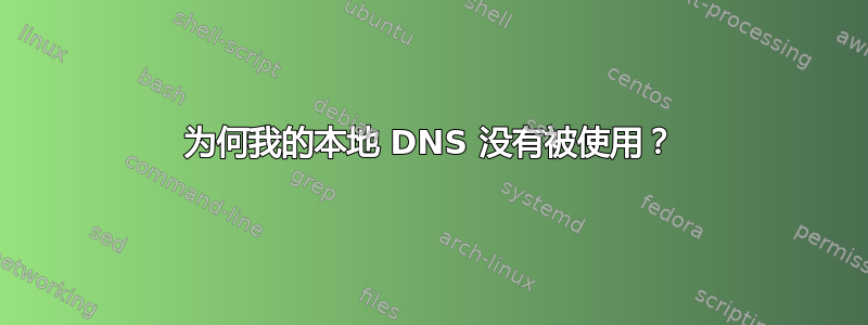 为何我的本地 DNS 没有被使用？