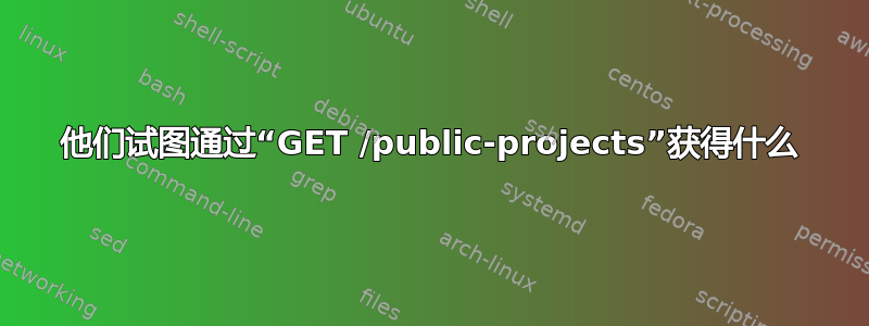 他们试图通过“GET /public-projects”获得什么