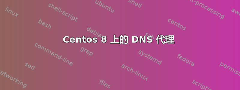 Centos 8 上的 DNS 代理