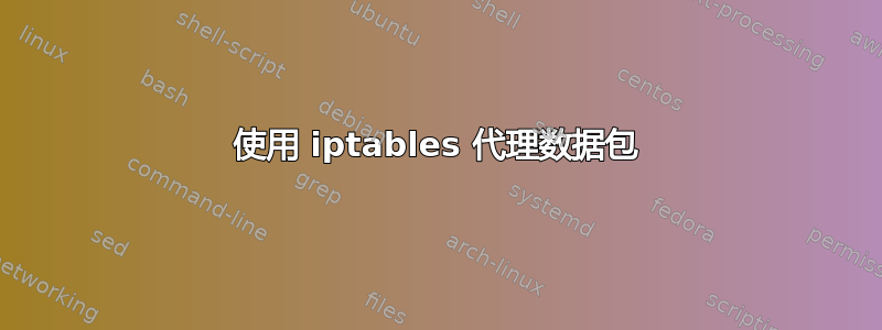 使用 iptables 代理数据包