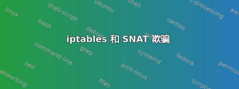 iptables 和 SNAT 欺骗