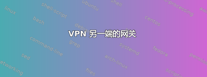 VPN 另一端的网关