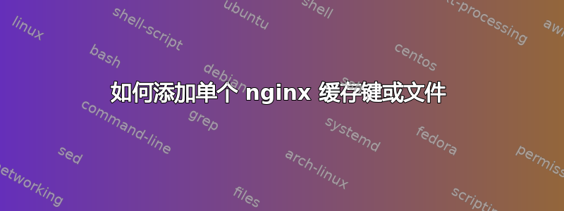 如何添加单个 nginx 缓存键或文件