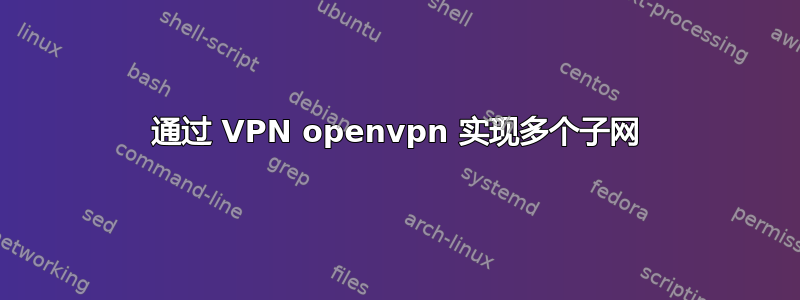 通过 VPN openvpn 实现多个子网
