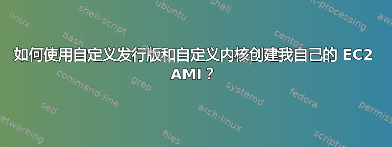 如何使用自定义发行版和自定义内核创建我自己的 EC2 AMI？