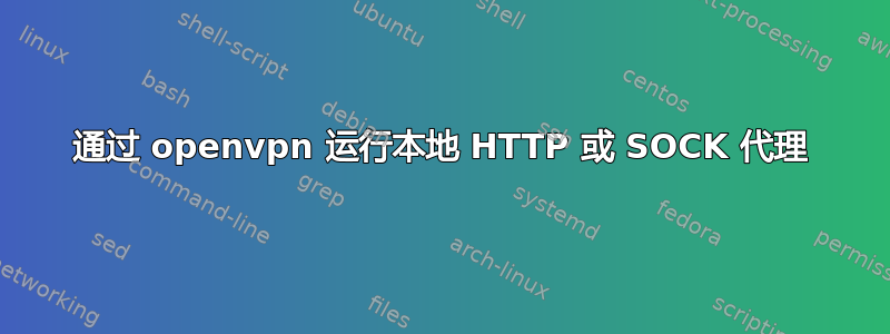 通过 openvpn 运行本地 HTTP 或 SOCK 代理