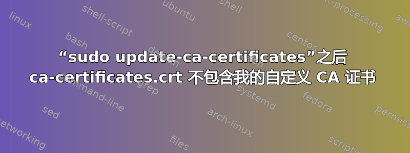 “sudo update-ca-certificates”之后 ca-certificates.crt 不包含我的自定义 CA 证书