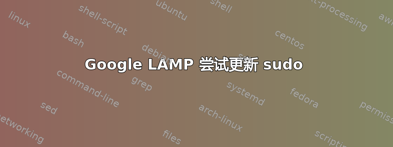 Google LAMP 尝试更新 sudo