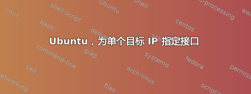 Ubuntu，为单个目标 IP 指定接口