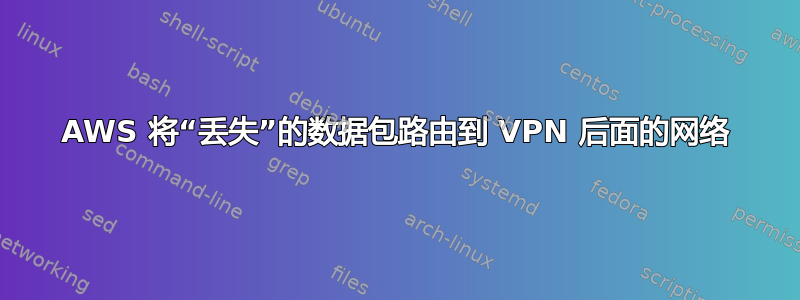 AWS 将“丢失”的数据包路由到 VPN 后面的网络