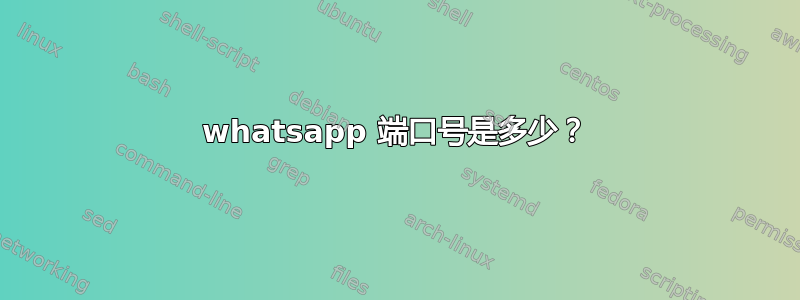 whatsapp 端口号是多少？