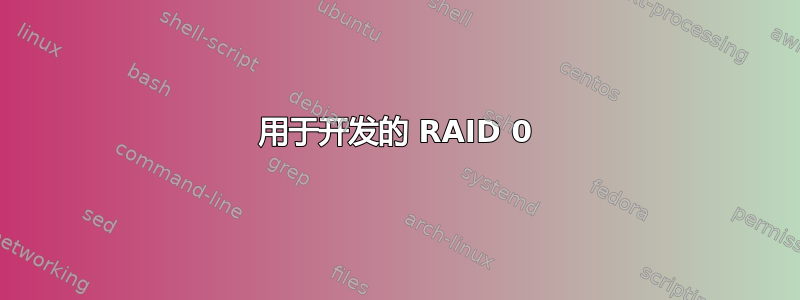 用于开发的 RAID 0