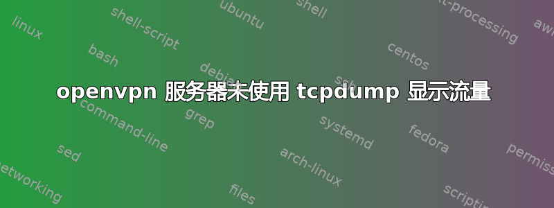 openvpn 服务器未使用 tcpdump 显示流量