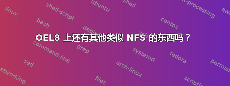 OEL8 上还有其他类似 NFS 的东西吗？