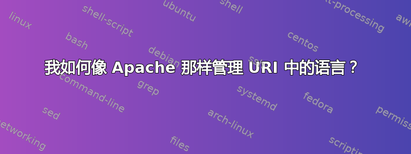 我如何像 Apache 那样管理 URI 中的语言？