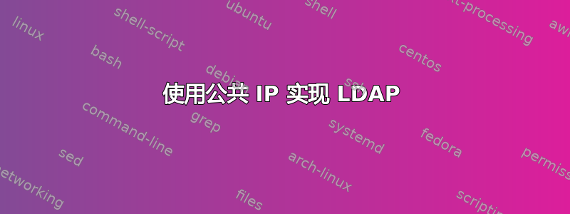 使用公共 IP 实现 LDAP