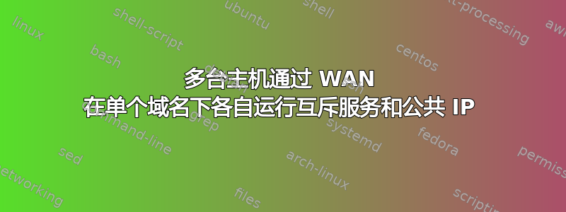 多台主机通过 WAN 在单个域名下各自运行互斥服务和公共 IP