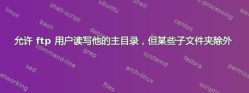 允许 ftp 用户读写他的主目录，但某些子文件夹除外