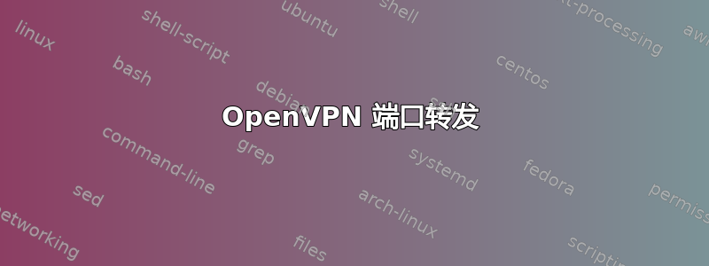 OpenVPN 端口转发