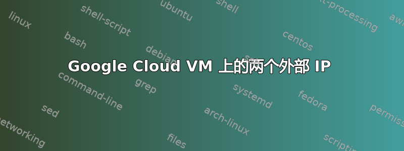 Google Cloud VM 上的两个外部 IP