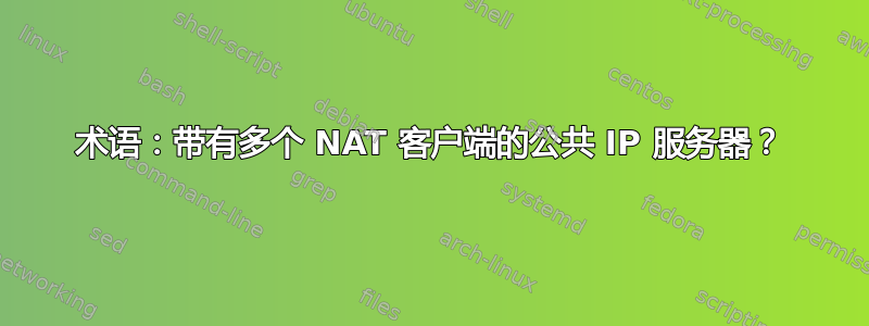 术语：带有多个 NAT 客户端的公共 IP 服务器？