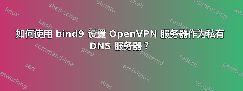 如何使用 bind9 设置 OpenVPN 服务器作为私有 DNS 服务器？