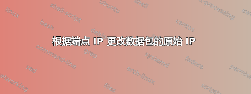 根据端点 IP 更改数据包的原始 IP