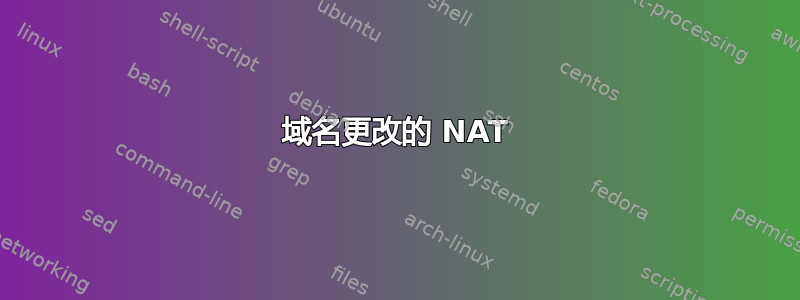 域名更改的 NAT