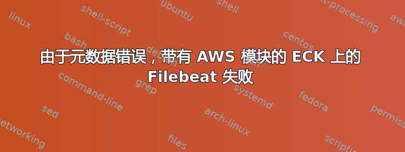 由于元数据错误，带有 AWS 模块的 ECK 上的 Filebeat 失败