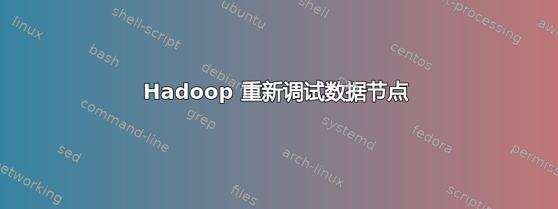 Hadoop 重新调试数据节点