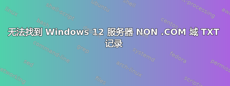 无法找到 Windows 12 服务器 NON .COM 域 TXT 记录