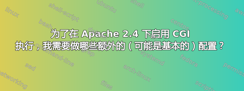 为了在 Apache 2.4 下启用 CGI 执行，我需要做哪些额外的（可能是基本的）配置？