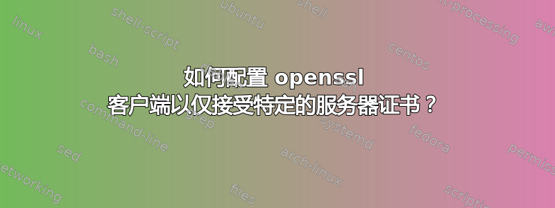 如何配置 openssl 客户端以仅接受特定的服务器证书？