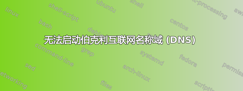 无法启动伯克利互联网名称域 (DNS)