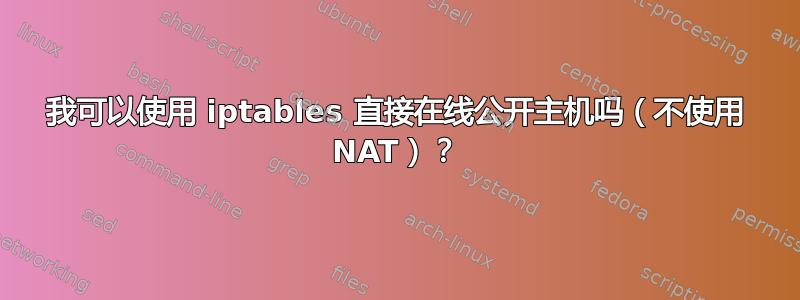 我可以使用 iptables 直接在线公开主机吗（不使用 NAT）？